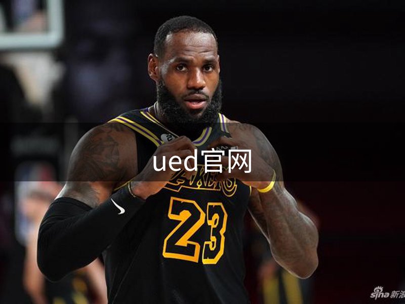 网站概况